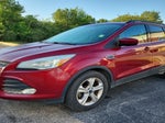 2014 Escape Thumbnail 3
