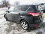 2014 Escape Thumbnail 7