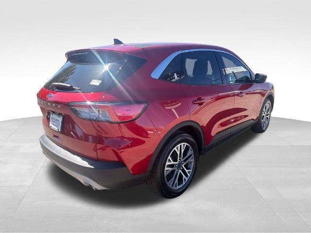 2022 Ford Escape - $21,900