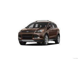 2013 Ford Escape with Brown Exterior