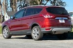 2014 Escape Thumbnail 3