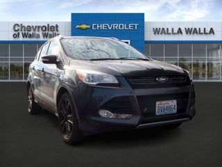 2016 Ford Escape with Magnetic Exterior