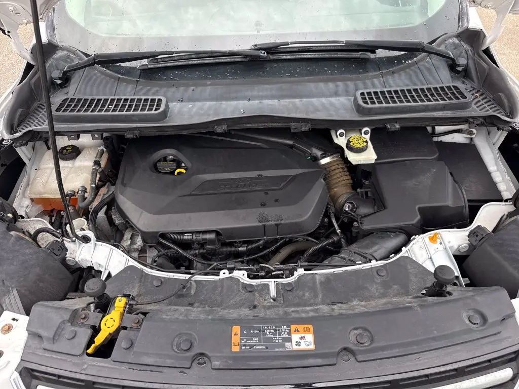2014 Ford Escape - $10,901