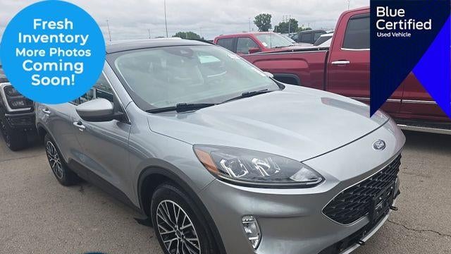 Preowned 2022 Ford Escape Plug-In Hybrid SEL for Sale