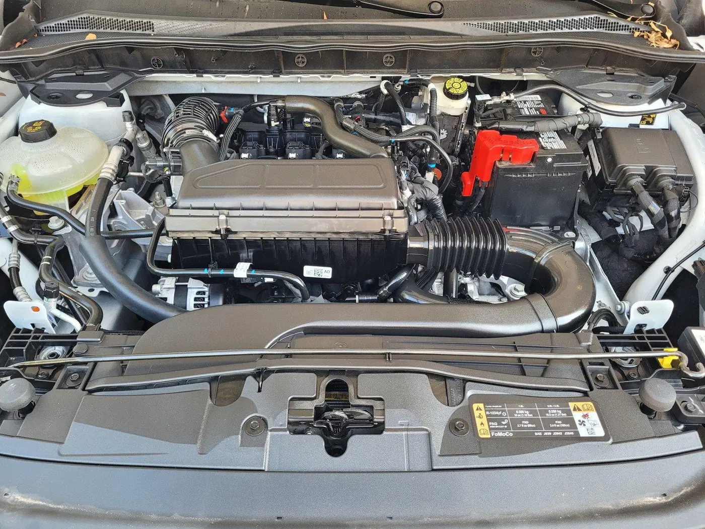 2024 Ford Escape - $19,988