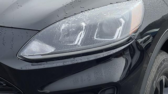 2020 Ford Escape Hybrid SE Sport