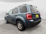 2011 Escape Thumbnail 3