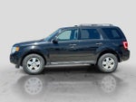 2011 Escape Thumbnail 2