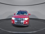 2010 Escape Thumbnail 3