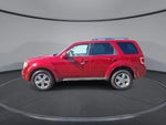 2010 Escape Thumbnail 5