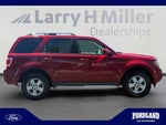 2011 Escape Thumbnail 6