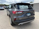 2021 Escape Thumbnail 5