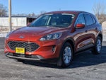 2020 Escape Thumbnail 3