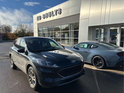 2022 Ford Escape AWD SE 4DR SUV