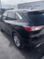 2022 Escape Thumbnail 4