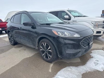 2022 Ford Escape AWD SE 4DR SUV