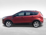 2015 Escape Thumbnail 4