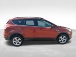 2015 Escape Thumbnail 8