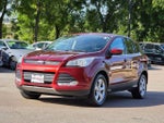 2016 Escape Thumbnail 3