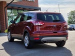 2016 Escape Thumbnail 5