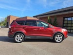 2016 Escape Thumbnail 8