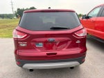 2014 Escape Thumbnail 9