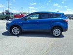 2017 Escape Thumbnail 8