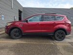 2017 Escape Thumbnail 3