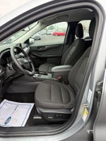 2024 Escape Thumbnail 9