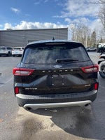 2025 Escape Thumbnail 15