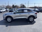 2024 Escape Thumbnail 17