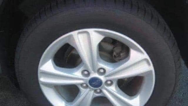 2013 Ford Escape SE