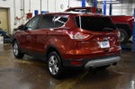 2014 Escape Thumbnail 5