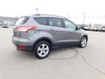 2014 Escape Thumbnail 3