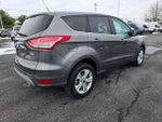 2014 Escape Thumbnail 5