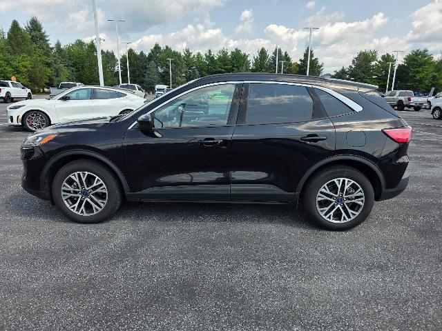 2022 Ford Escape SEL — photo 1 of 12