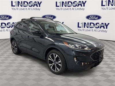 2022 Ford Escape AWD SEL 4DR SUV