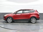 2014 Escape Thumbnail 4