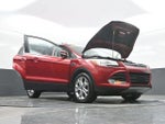 2014 Escape Thumbnail 32