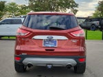 2014 Escape Thumbnail 6
