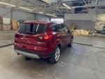 2019 Escape Thumbnail 5