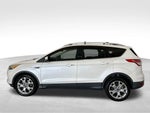 2015 Escape Thumbnail 2