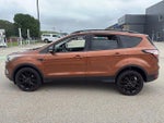 2017 Escape Thumbnail 2