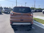 2017 Escape Thumbnail 4