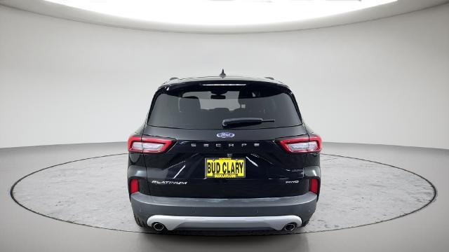 2025 Ford Escape - $25,998