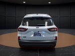 2026 Escape Thumbnail 5