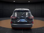 2026 Escape Thumbnail 5