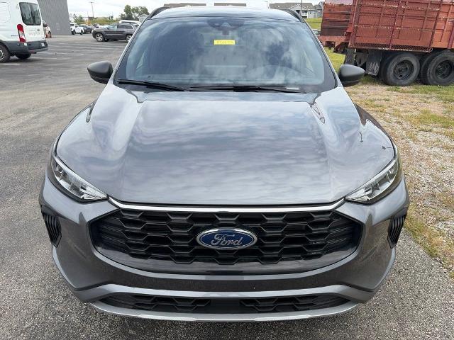 2024 Ford Escape ST-Line — photo 1 of 12