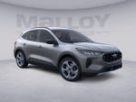 2026 Escape Thumbnail 2