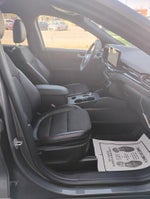 2023 Escape Thumbnail 31